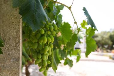 Villette Tundo by BarbarHouse