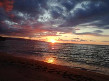 Puerto Seguro TartufoExperience