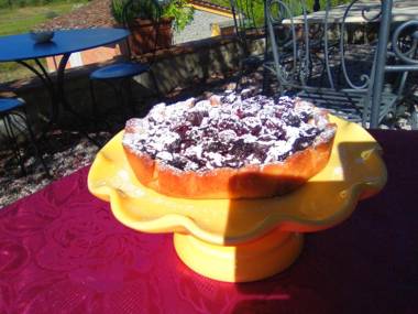 Amedea Tuscany Country Experience