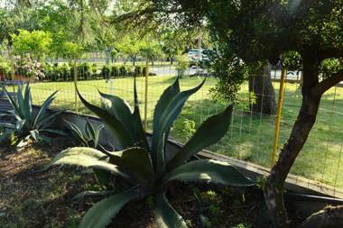 Villa Irene Pisticci-Matera