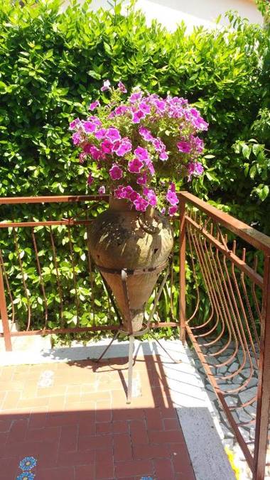 La Bouganville e Il Gelsomino