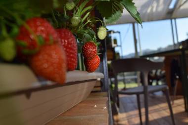 Agriturismo Terre degli Angeli