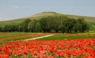 Agriturismo Lunadoro
