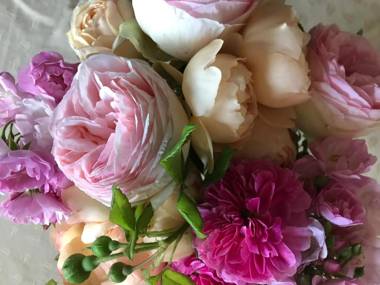 B&B Cà Bianca dell'Abbadessa