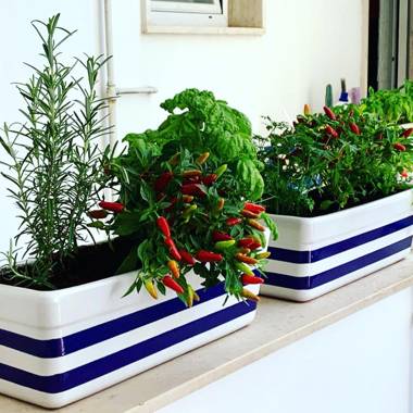 Casa degli Aranci 33