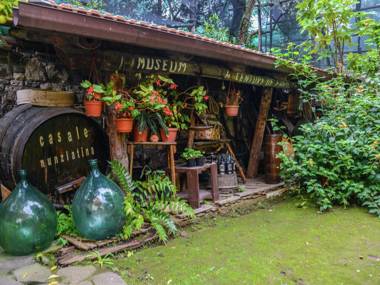 Lavish Mansion in Sorrento with Garden