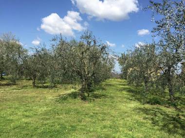 Welcoming Mansion with Swimming Pool inTuscany