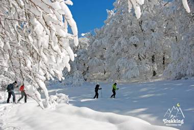 Garnì B&B La Rua-Pescocostanzo