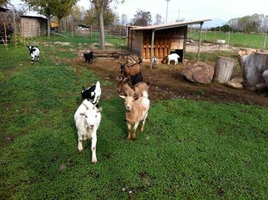 Agriturismo La Montina
