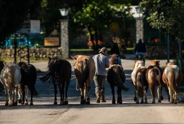 Agriturismo Maneggio Vallecupa