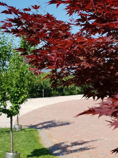 Agriturismo La Torretta