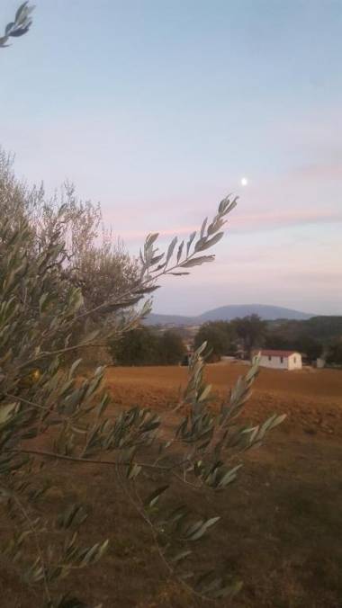 Agriturismo Villalta