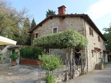 Deluxe Holiday Home in Pelago with Swimming Pool