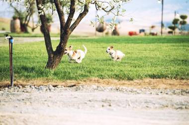 Agriturismo Biologico Diacceroni