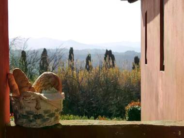 Farmhouse in large garden with private pool on the hills of Pisa