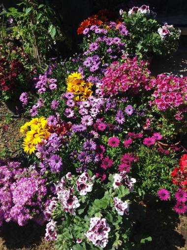 La Fattoria Dei Nonni