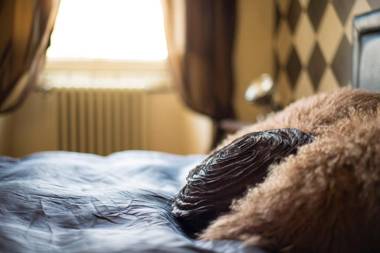 Villa Franca Casa Vacanze