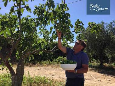 Azienda Agrituristica Baglio Carta