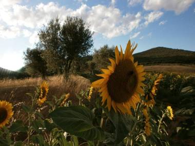 I Casali Di Colle San Paolo