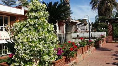 A Real Oasis In The City