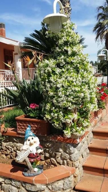 A Real Oasis In The City