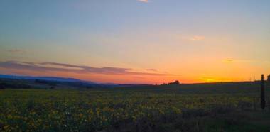 Fontegirasole - a Fontanaro Property