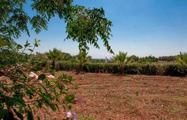 Casa Frulli by BarbarHouse