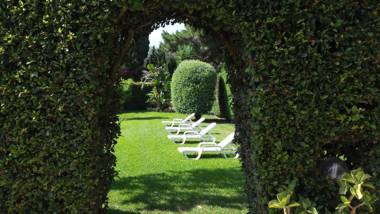 Sole del Mediterraneo