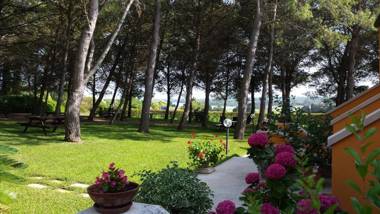 Sole del Mediterraneo