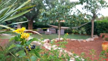 B&B All'ombra degli ulivi