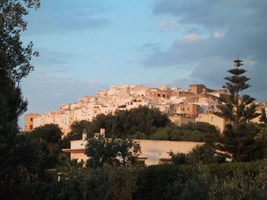 Magnificent villa close to the historic town of Ostuni and beaches