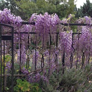 Magnificent villa close to the historic town of Ostuni and beaches