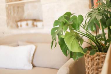 Trulli & Dimore - I Trulli di Carole