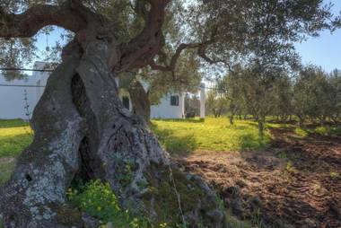Casa Zampignola by Typney