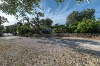 Trullo Paan by Typney