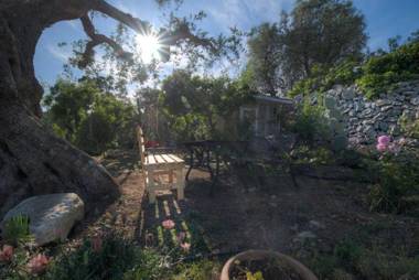 Trullo Paan by Typney