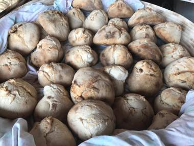 Agriturismo Il Giglio