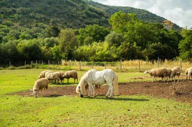 Antica Fattoria La Parrina