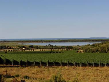 Agriturismo Fattoria Il Casalone