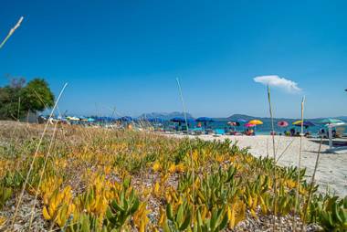 Appartamento del Cormorano