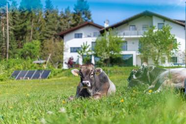 Apartment 2 - Haus Oberzöhr