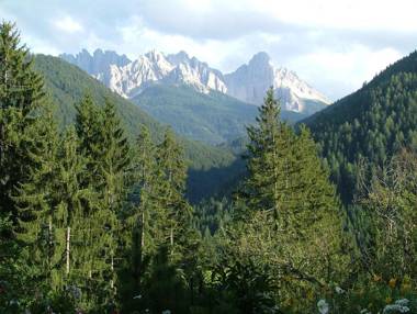 Aktiv Hotel Schönwald