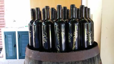 hiresicily - Giardino di Limoni