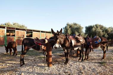 Agriturismo Agrimilo