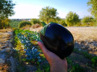 Mennuli&Alivi - Organic Farm