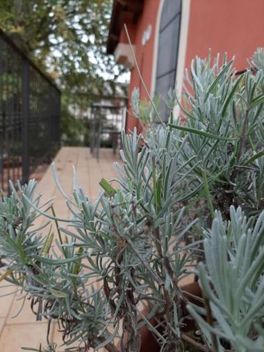 Affittacamere Il Tiro a Segno