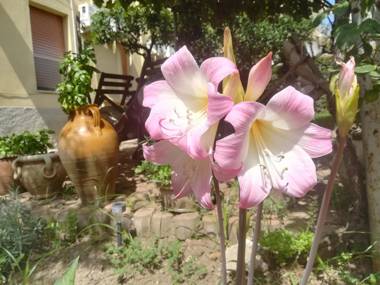 Barnet House Lamezia