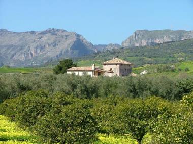 Holiday home on an estate surrounded by citrus and olive trees 7 km from the sea.