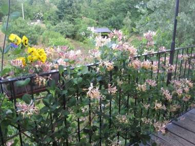 Il Mulino Di Geminella