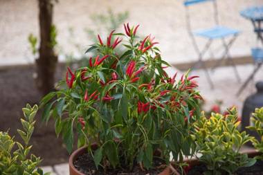 Borgo Vergini Garden B&B